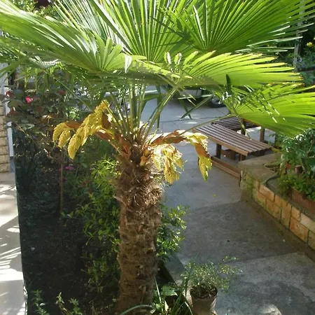 Rojnic - 3 Bedrooms